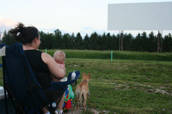 drive-in.jpg